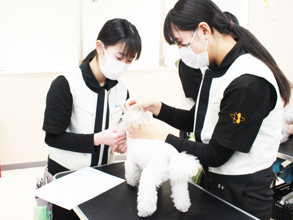 体の隅々まで健康チェック！